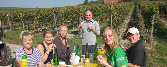 Weintrauben